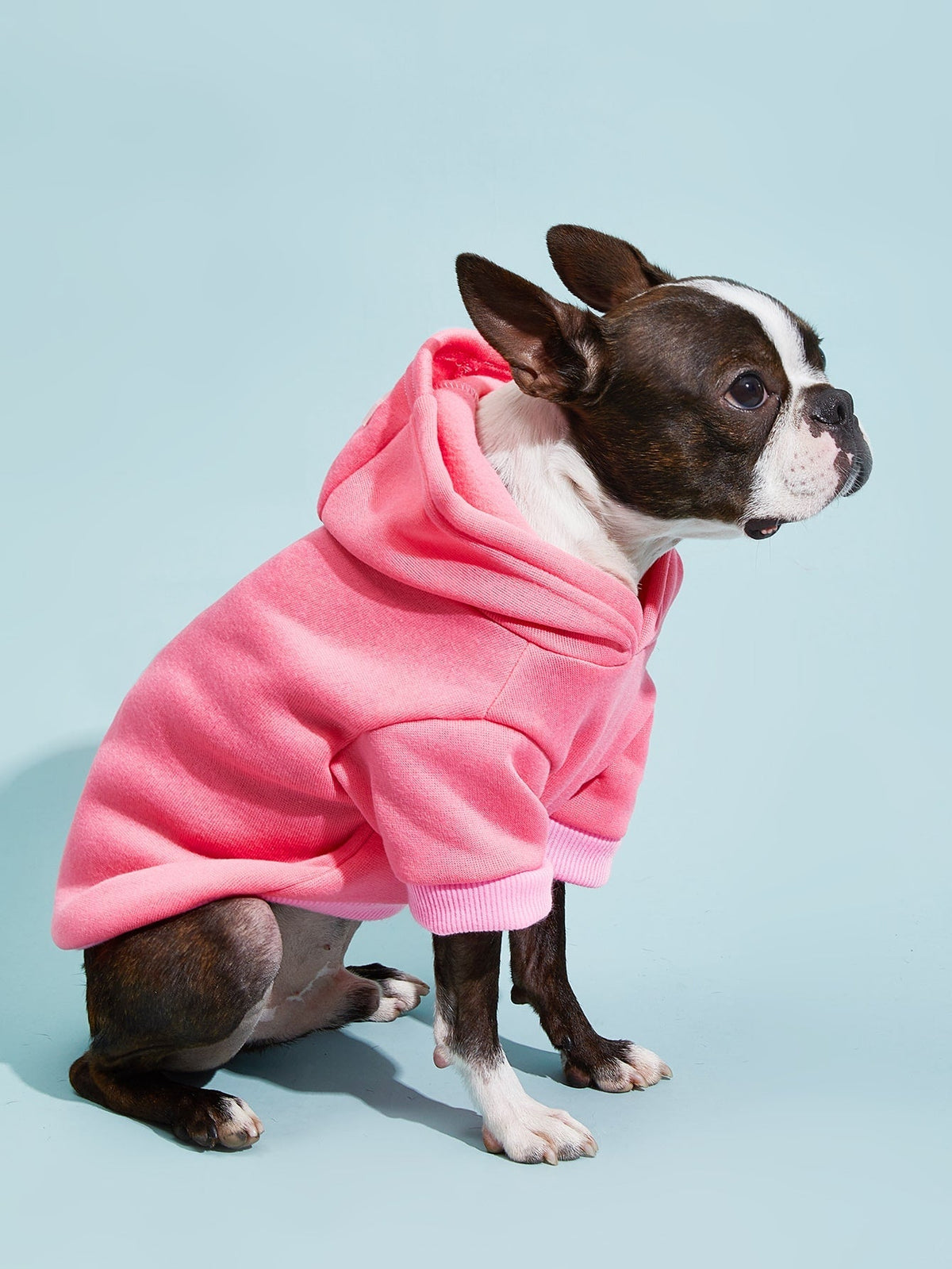 PETSIN Solid Color Pet Hoodie