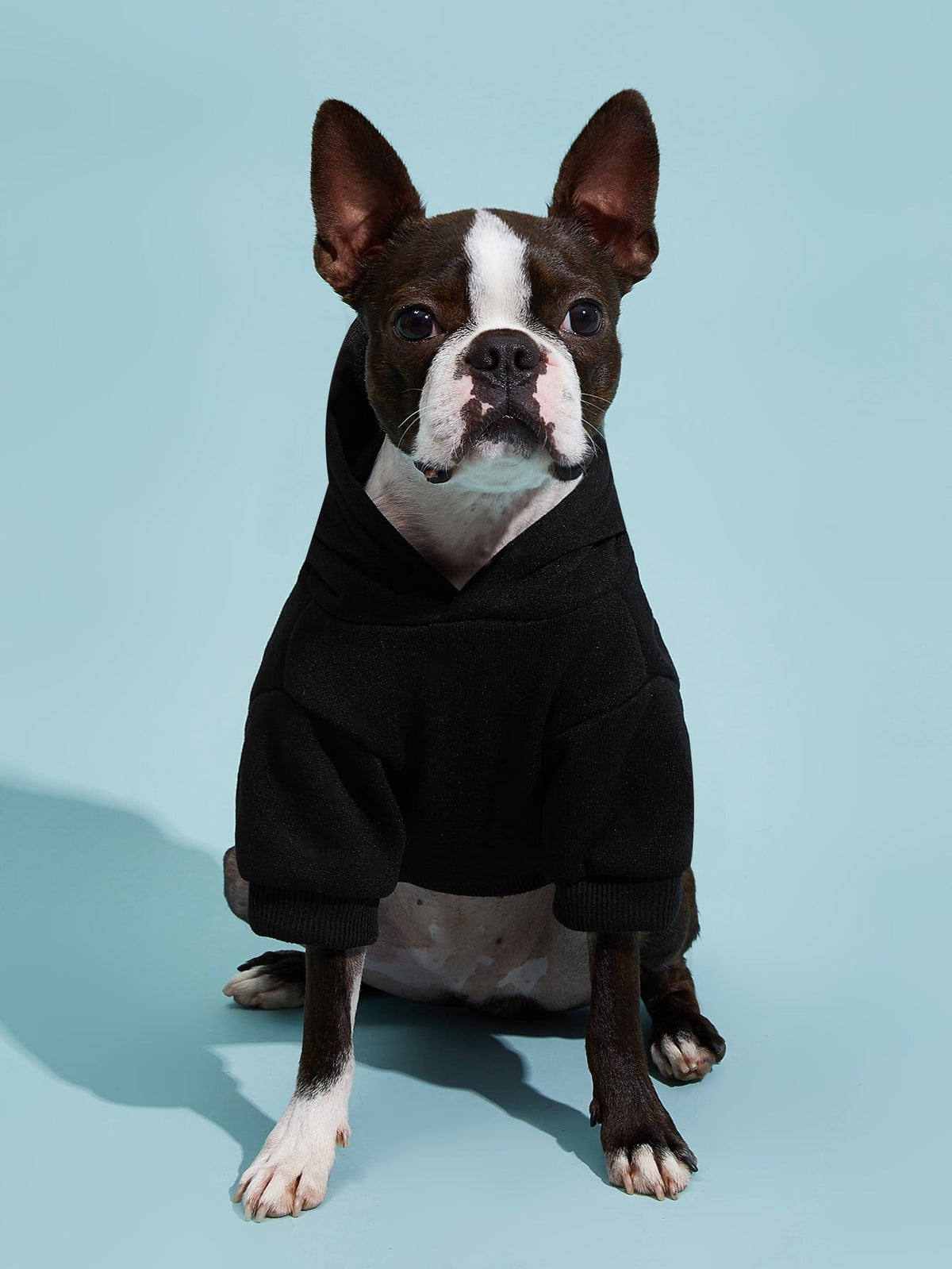 PETSIN Solid Color Pet Hoodie