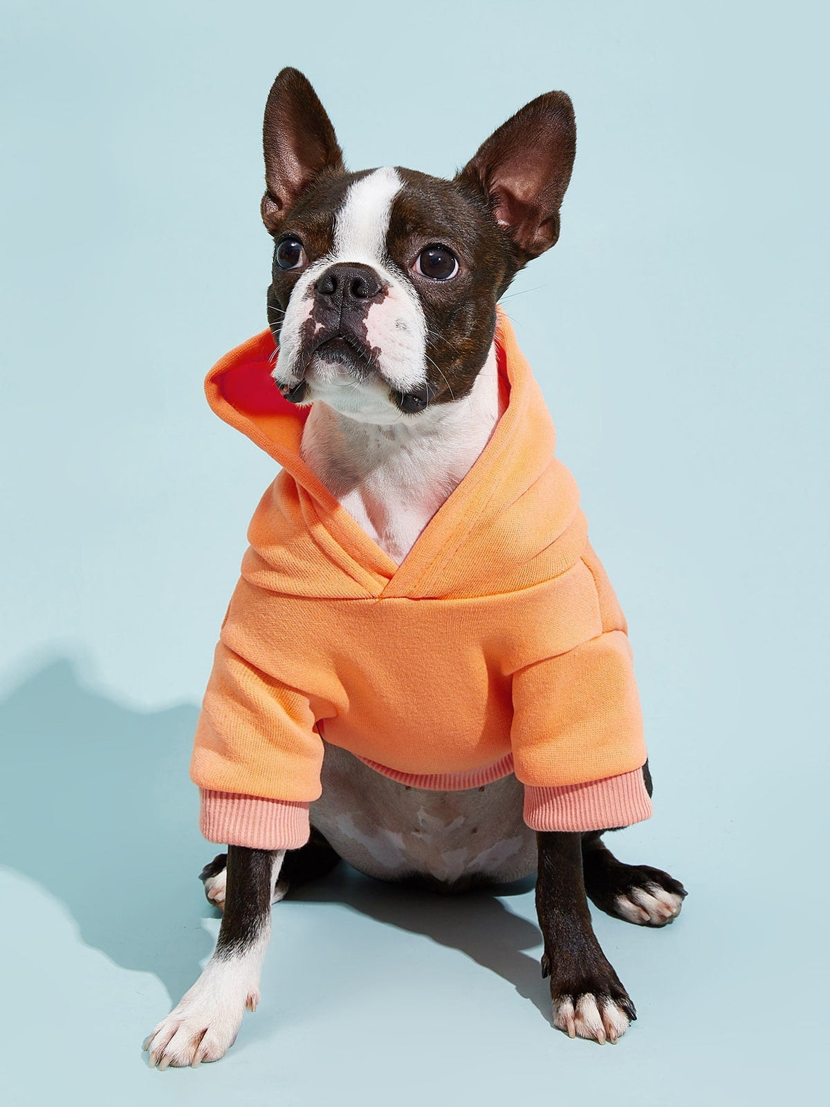 PETSIN Solid Color Pet Hoodie