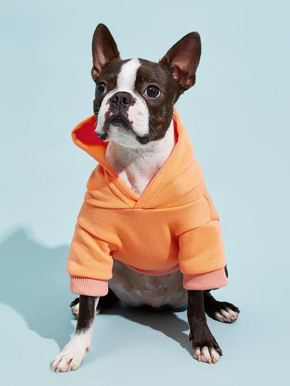 PETSIN Solid Color Pet Hoodie