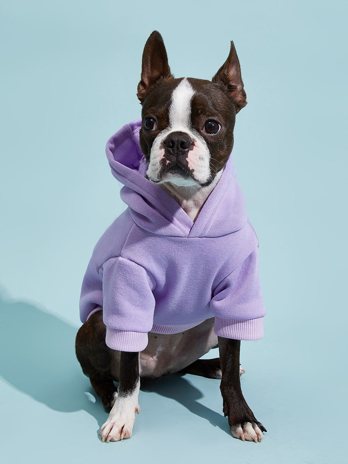 PETSIN Solid Color Pet Hoodie