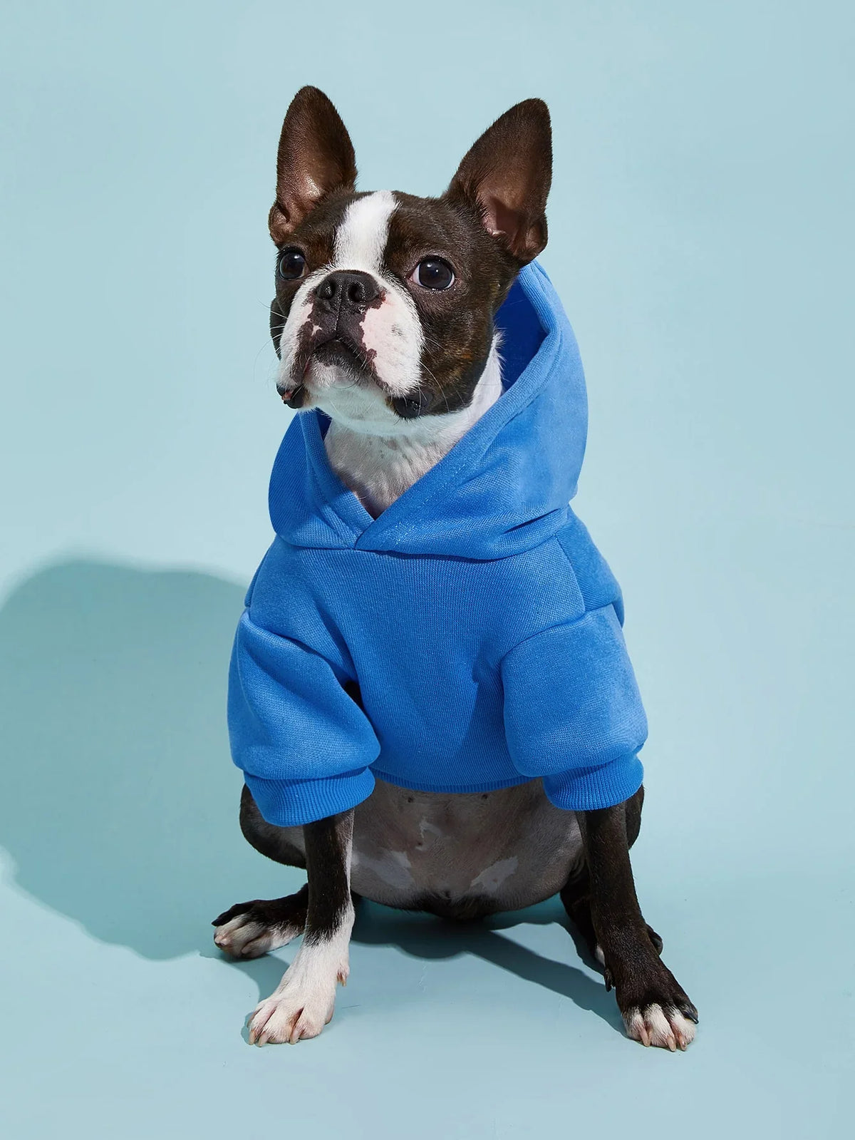 PETSIN All-Season Pet Hoodie