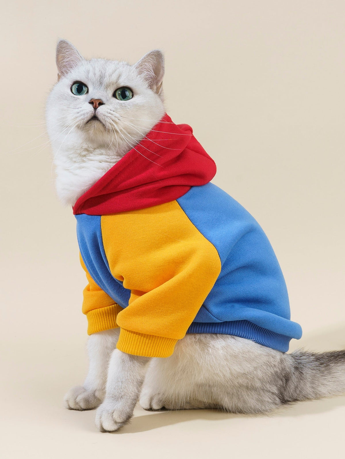 PETSIN Colorblock Dog Hoodie Sweatshirt