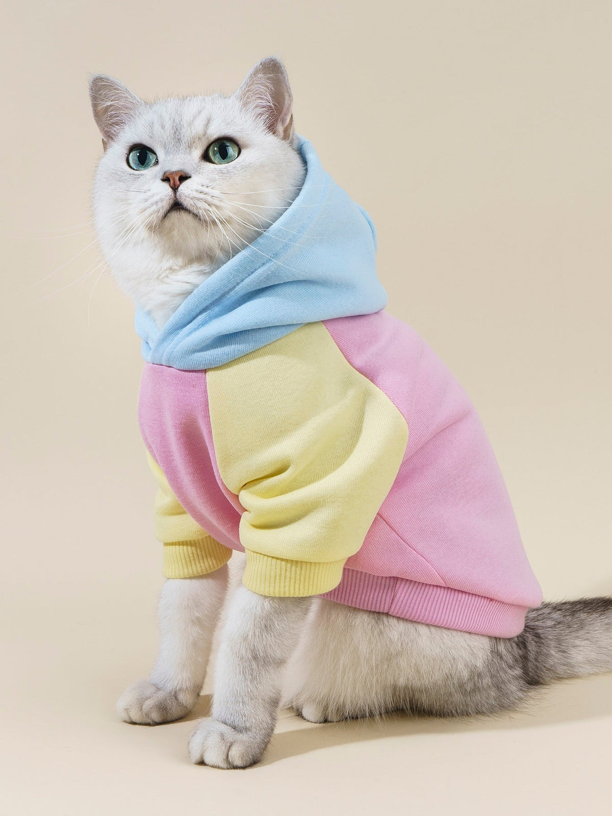 PETSIN Colorblock Dog Hoodie Sweatshirt