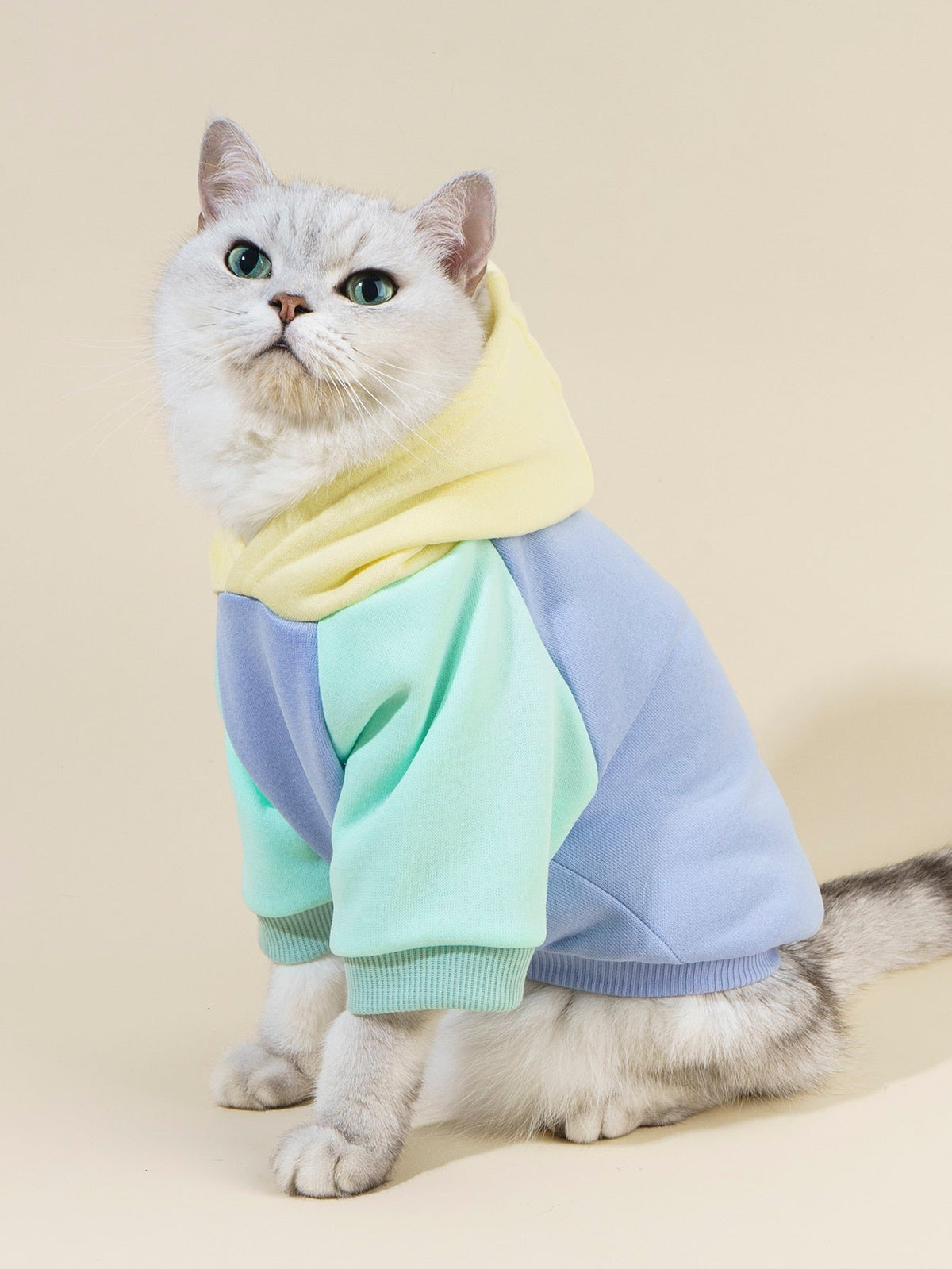 PETSIN Colorblock Dog Hoodie Sweatshirt