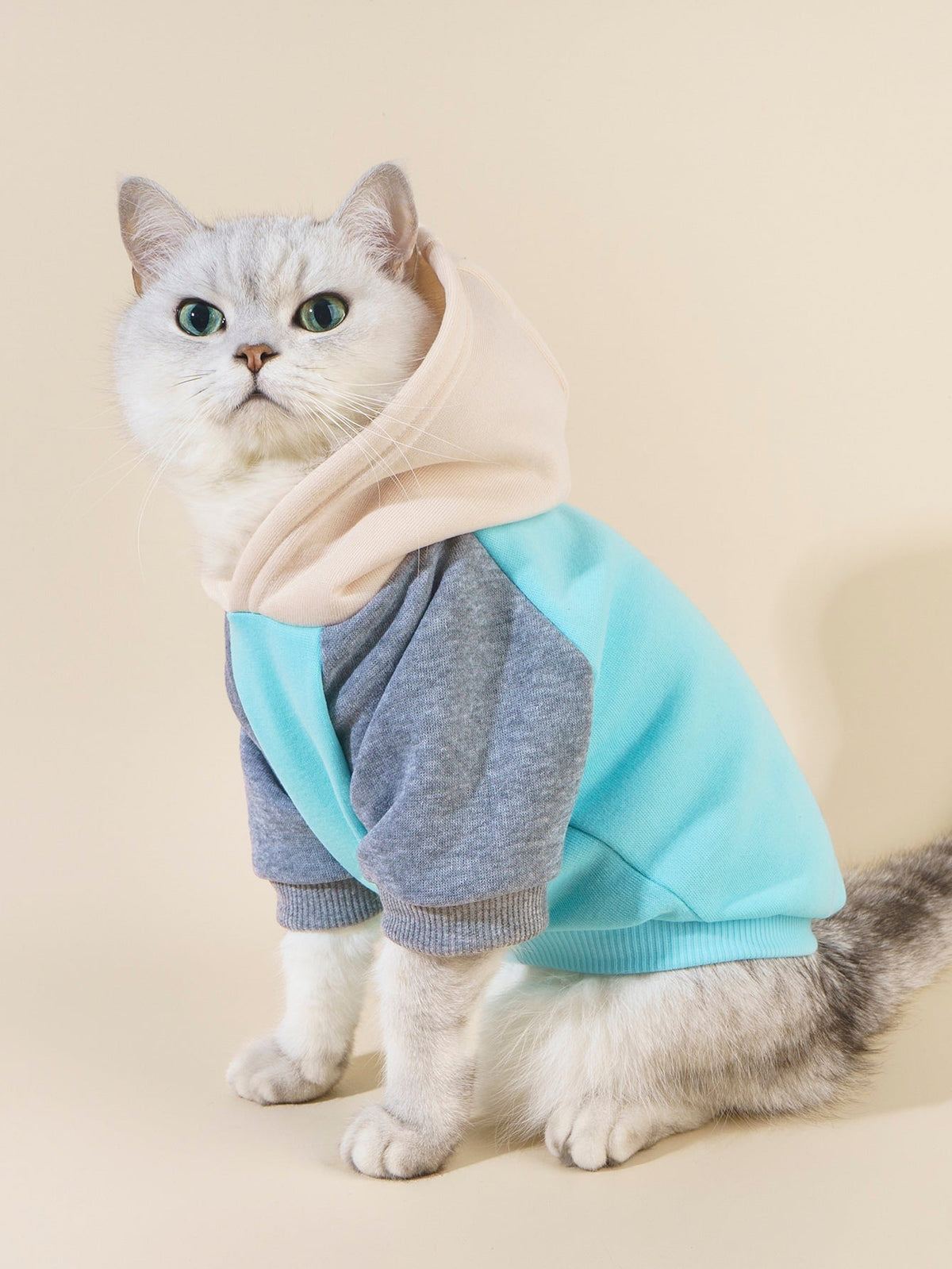 PETSIN Colorblock Dog Hoodie Sweatshirt