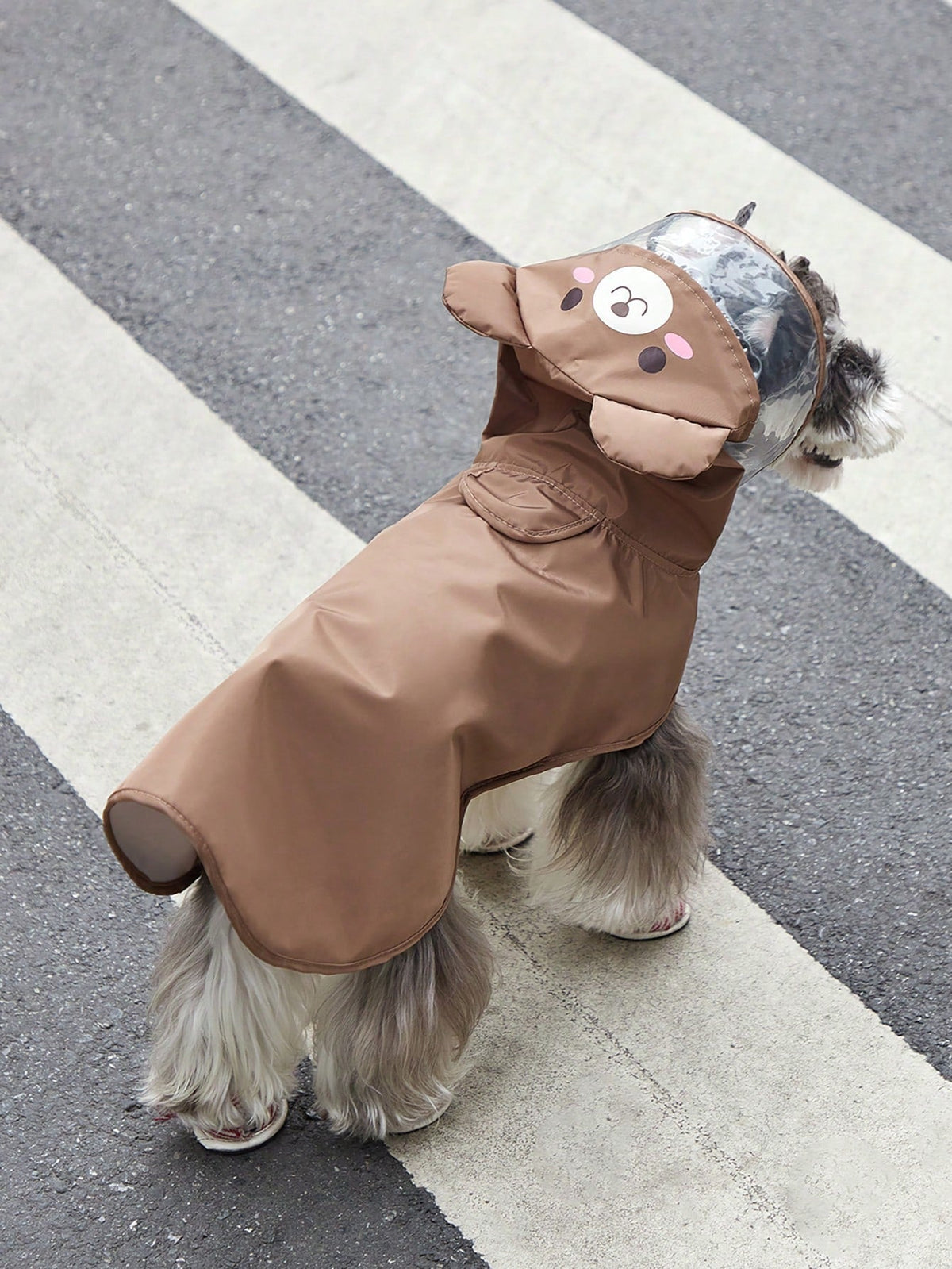 PETSIN Cartoon Chicken Pet Raincoat