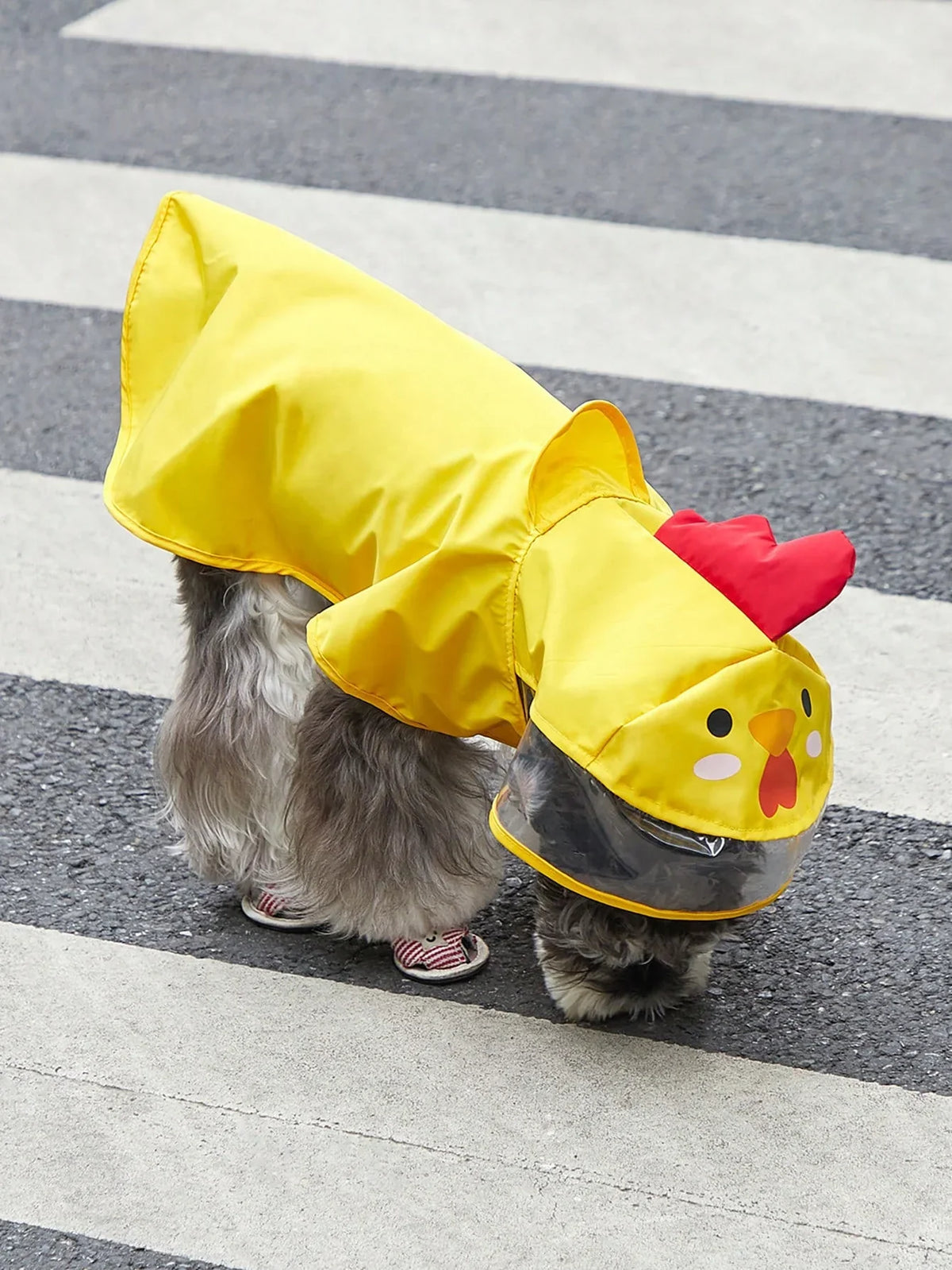 PETSIN Cartoon Chicken Pet Raincoat