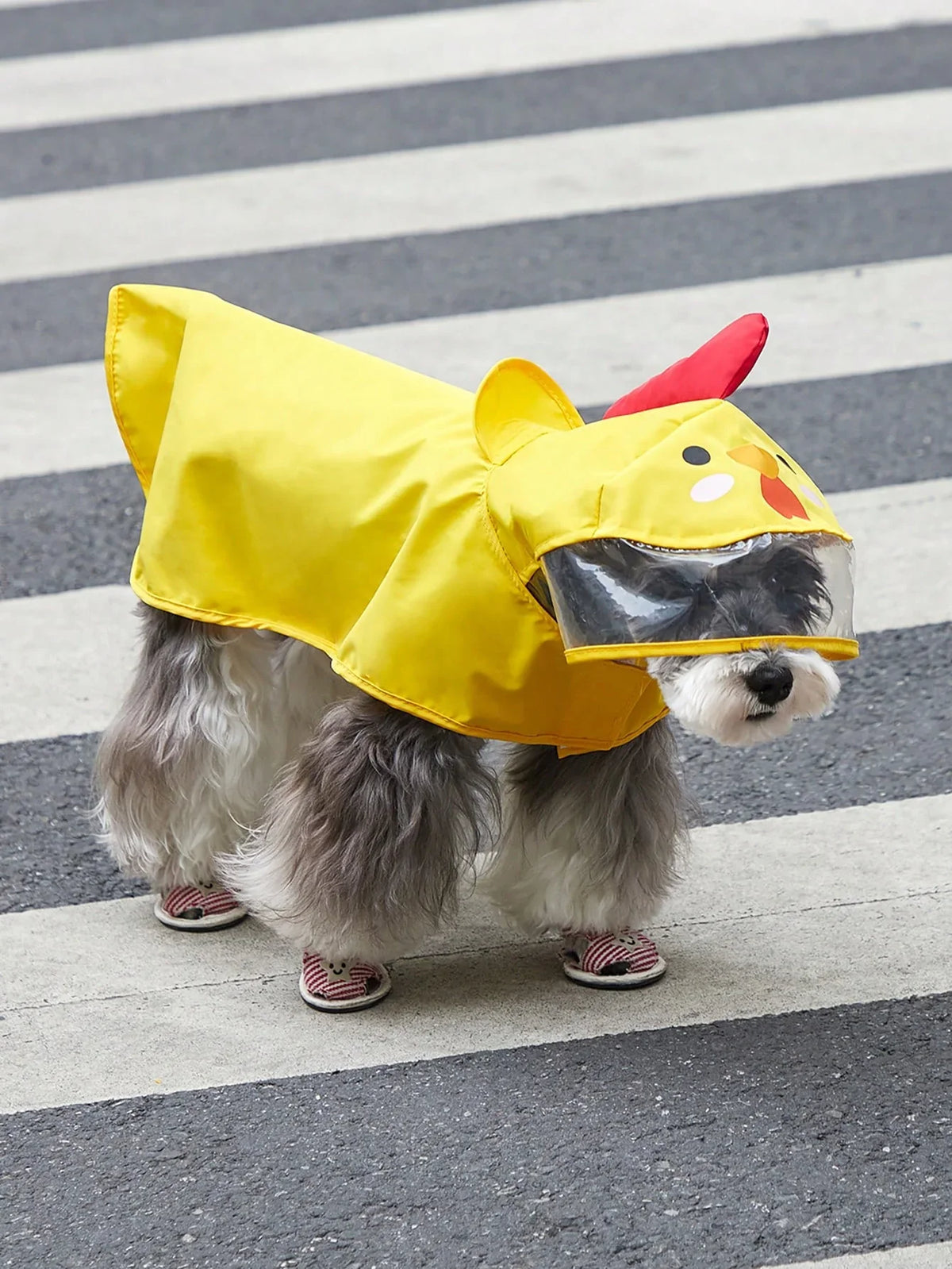PETSIN Cartoon Chicken Pet Raincoat