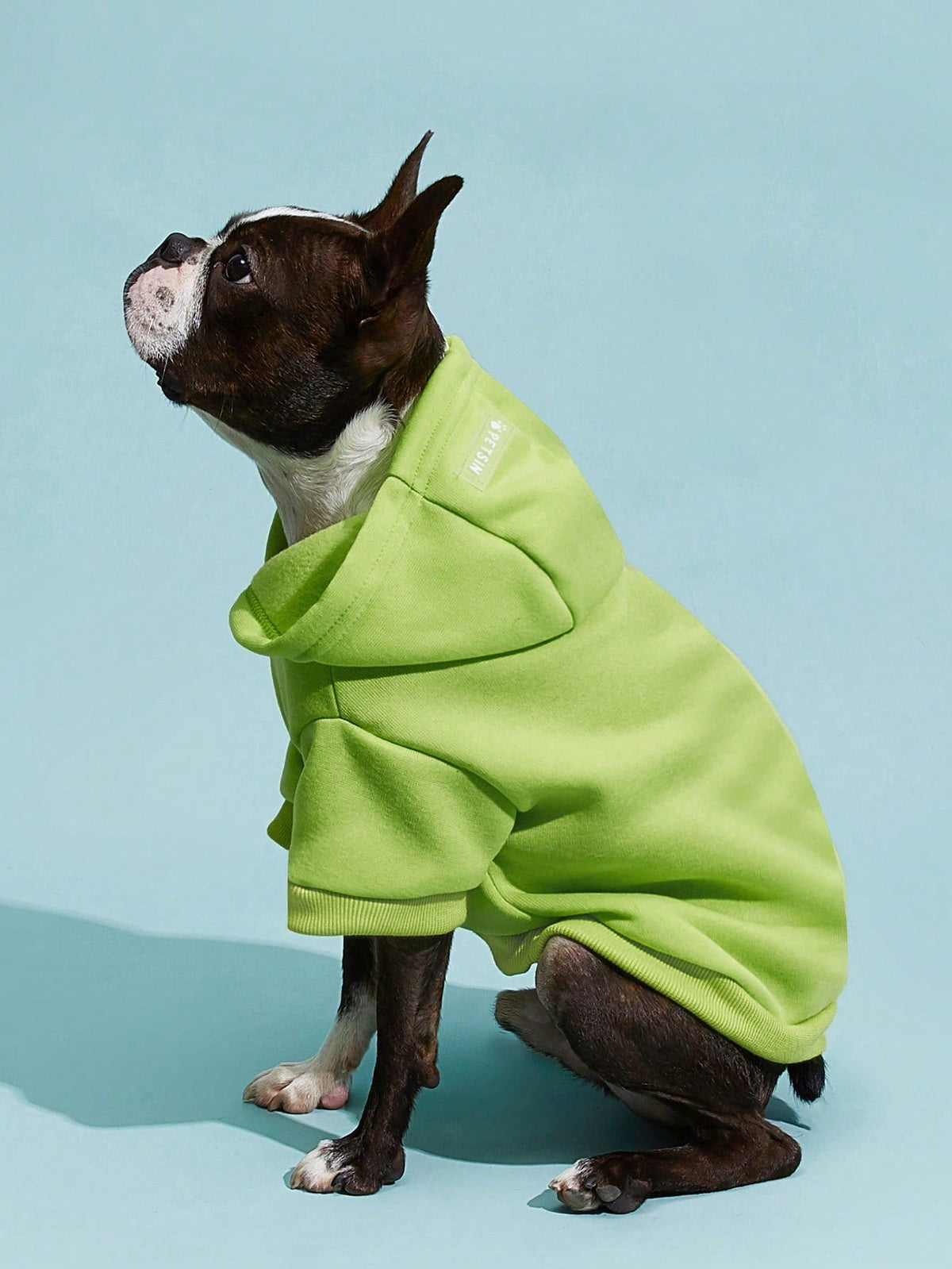 PETSIN Solid Color Pet Hoodie