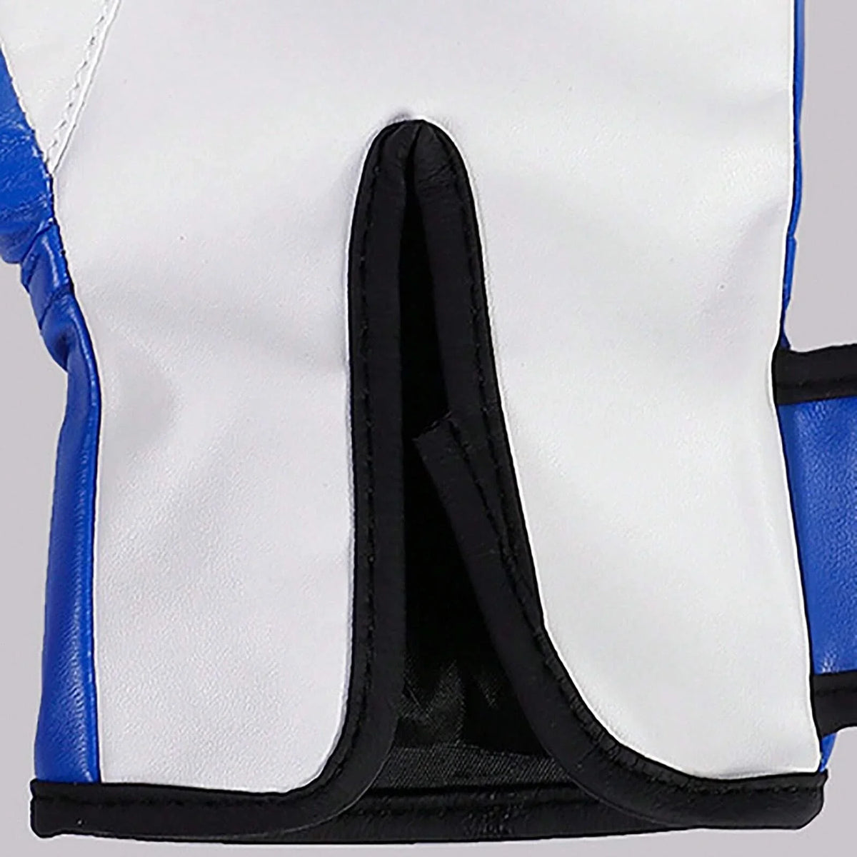 Youth Boxing Gloves Training Pair