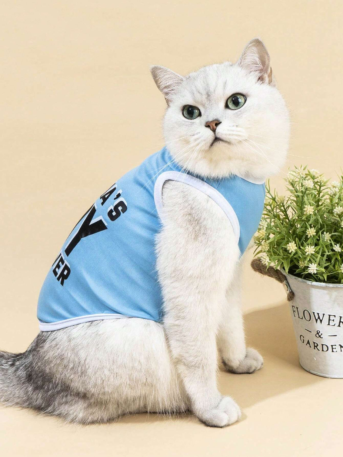 PETSIN Mama’s Boy Pet Top