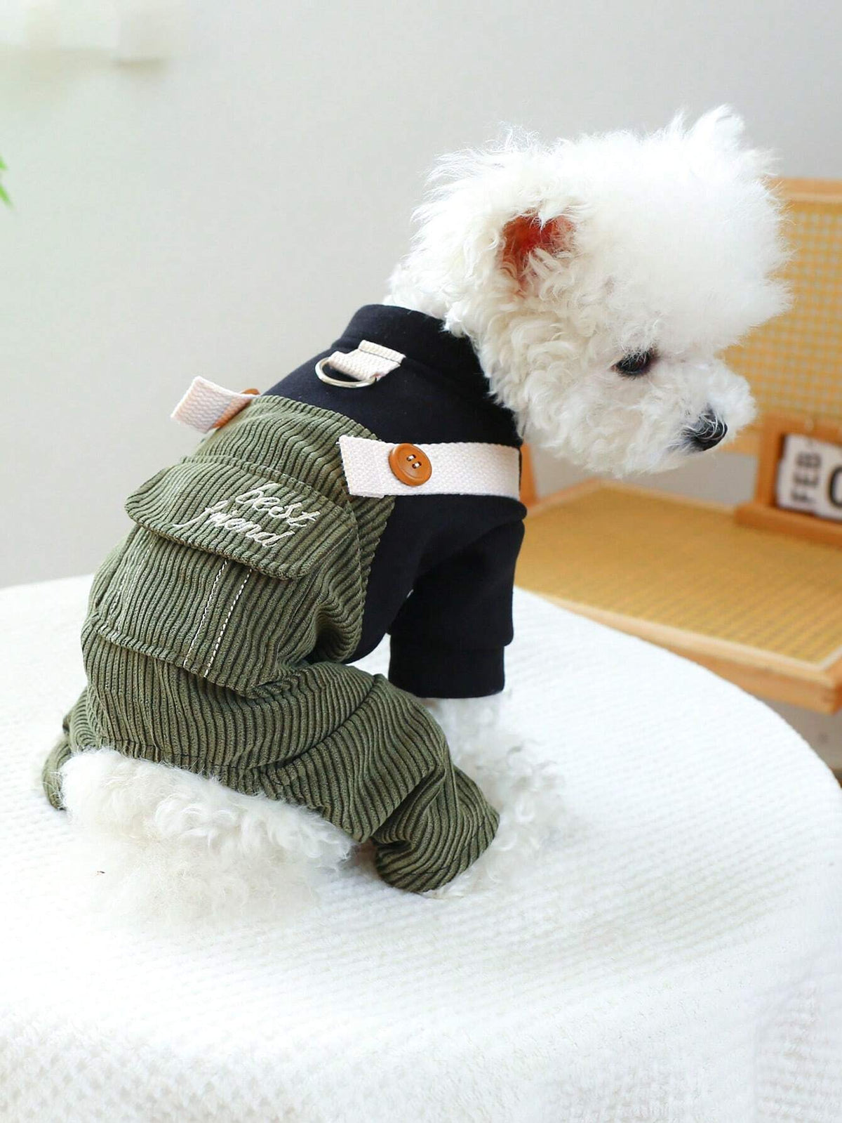PETSIN Corduroy Pet Jumpsuit