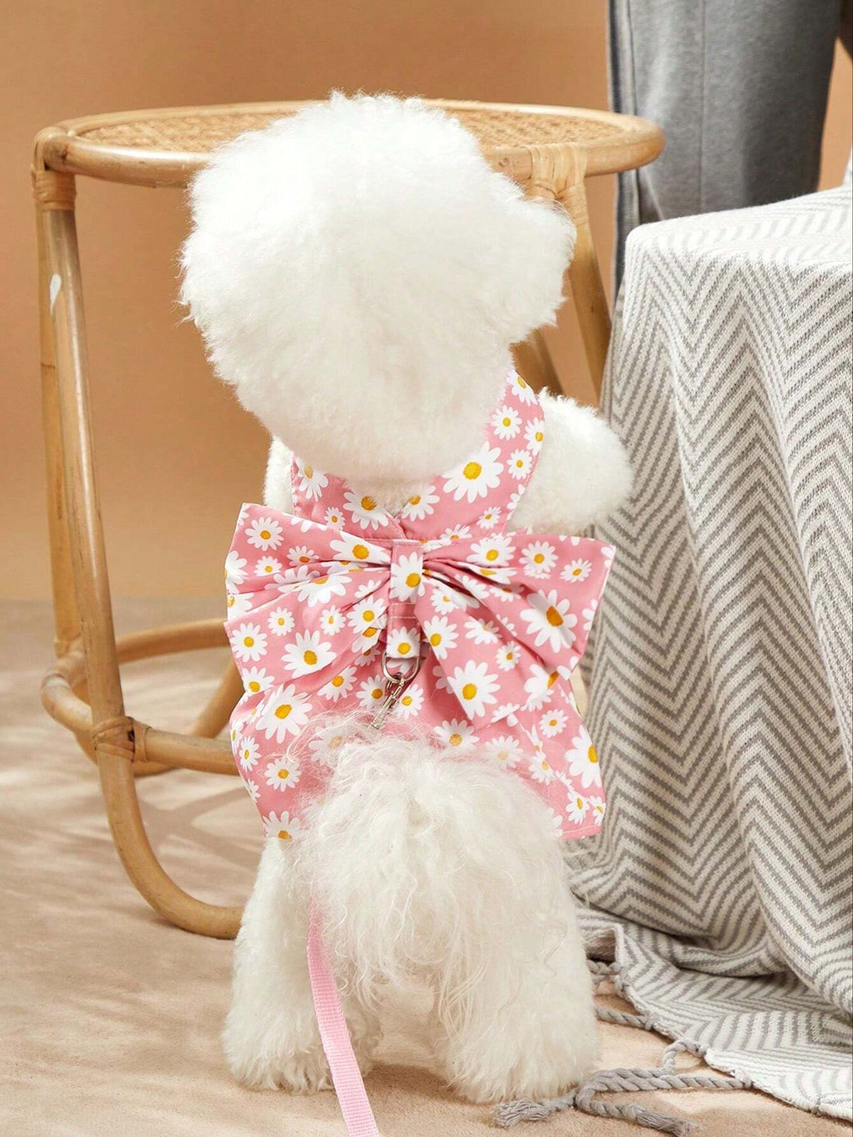 PETSIN Pink Daisy Pet Set