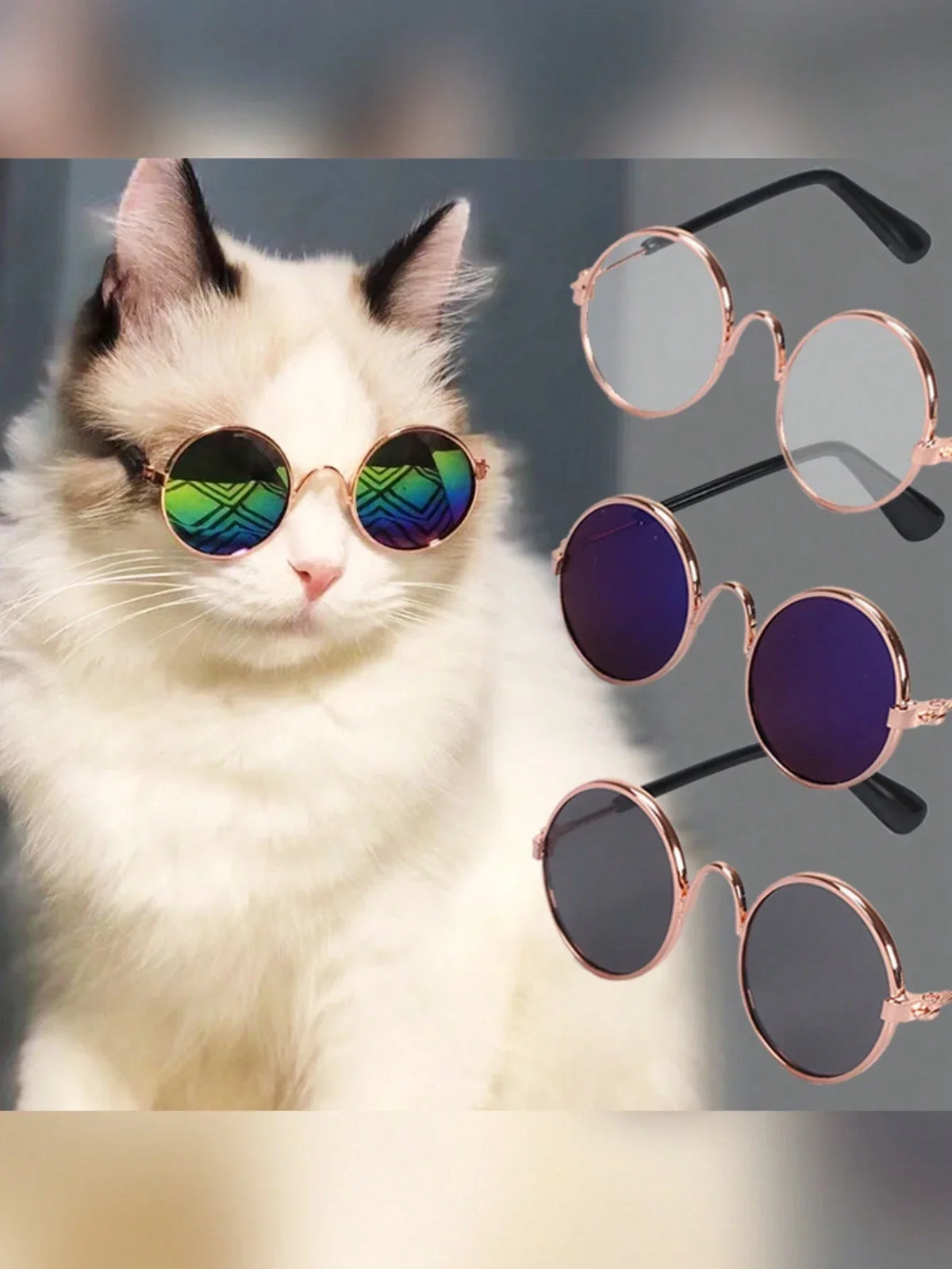 PETSIN Hip-Hop Pet Sunglasses