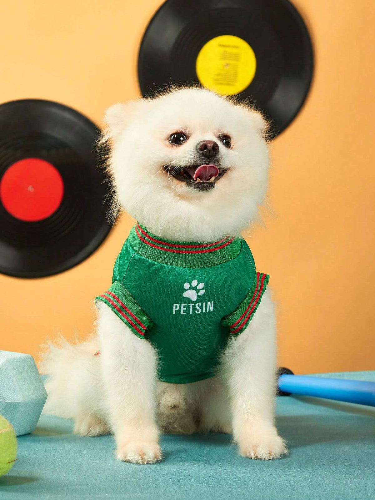 PETSIN Mexican Team Pet Jersey