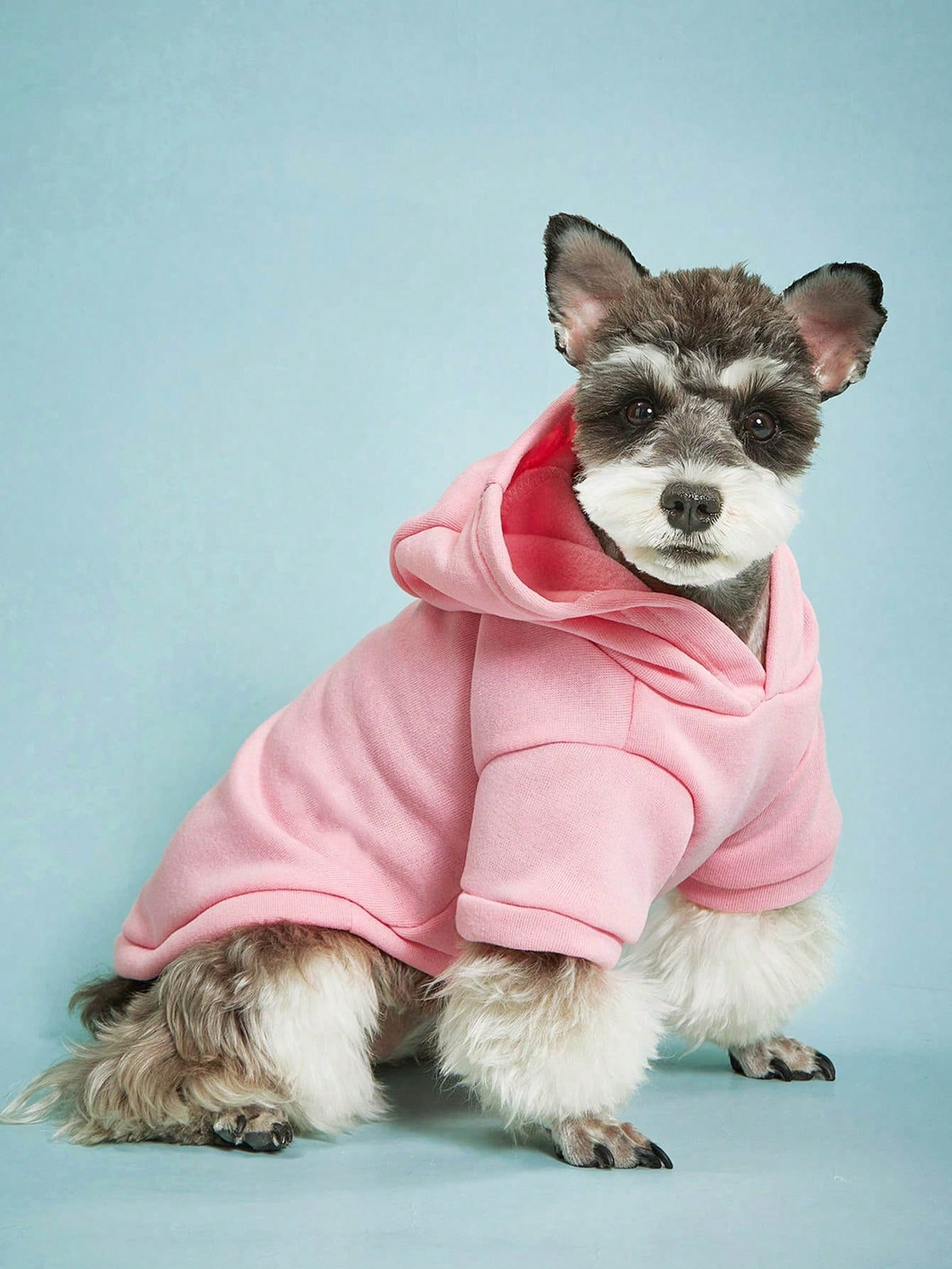 PETSIN Solid Color Pet Hoodie