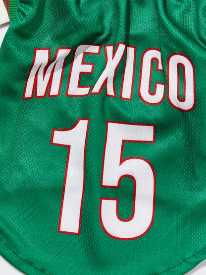 PETSIN Mexican Team Pet Jersey