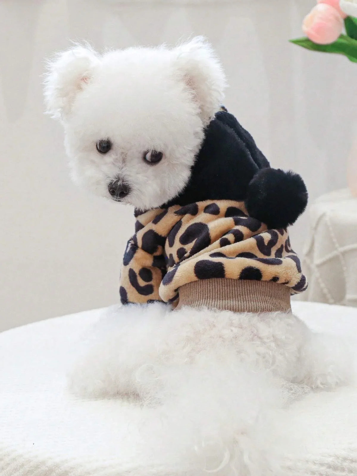 PETSIN Leopard Print Pet Coat
