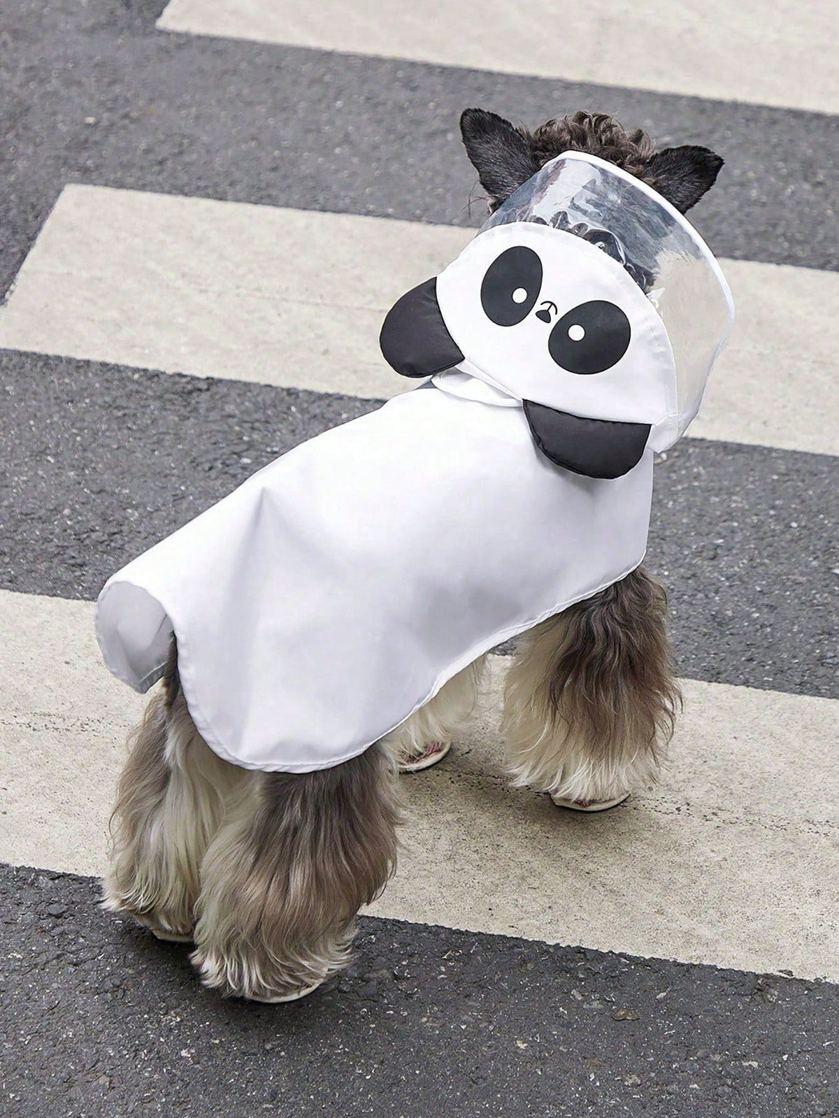 PETSIN Cartoon Chicken Pet Raincoat