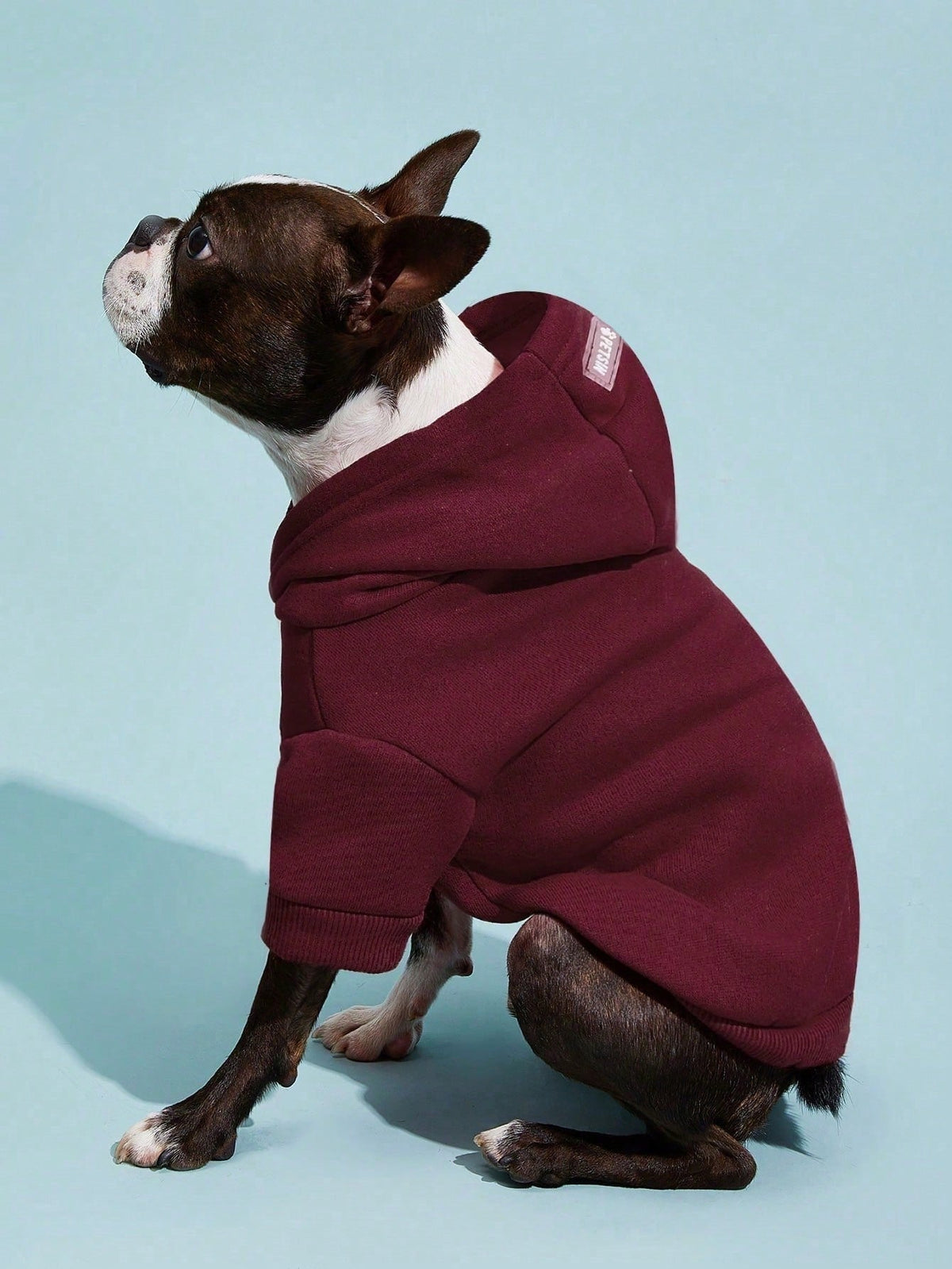 PETSIN Solid Color Pet Hoodie