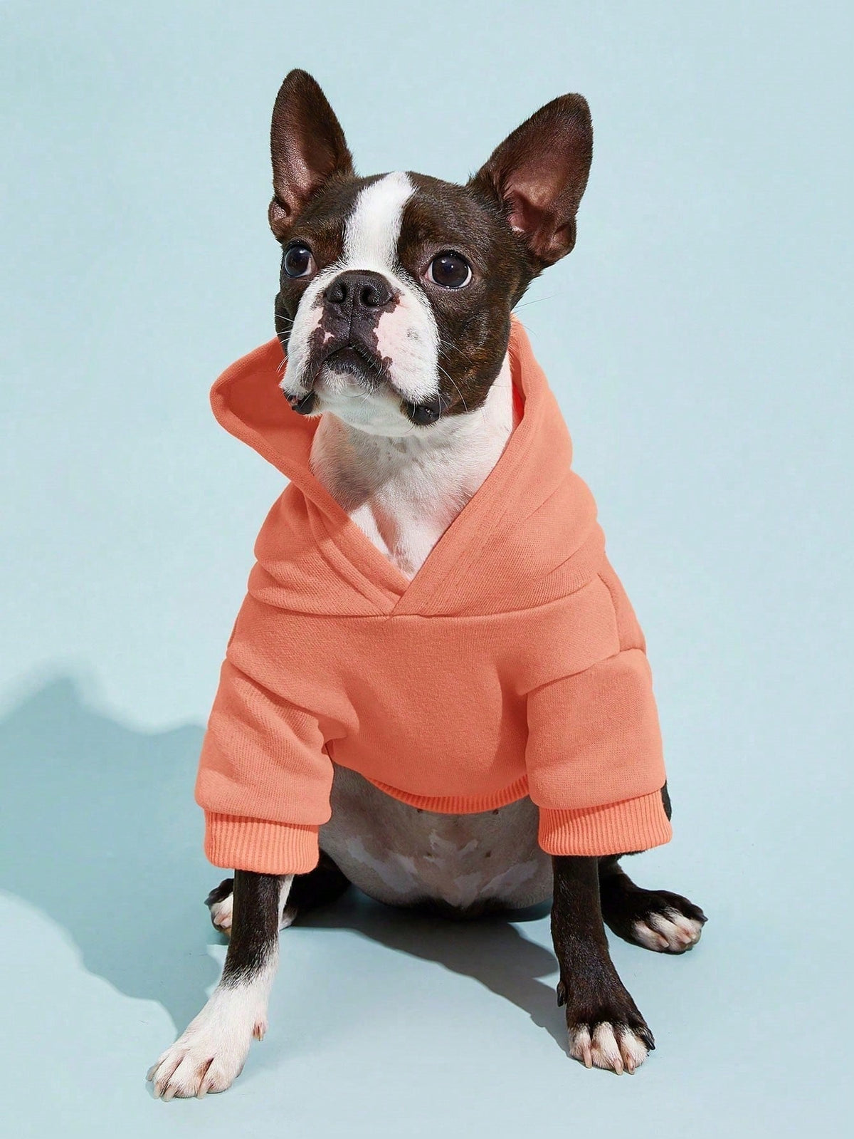 PETSIN Solid Color Pet Hoodie