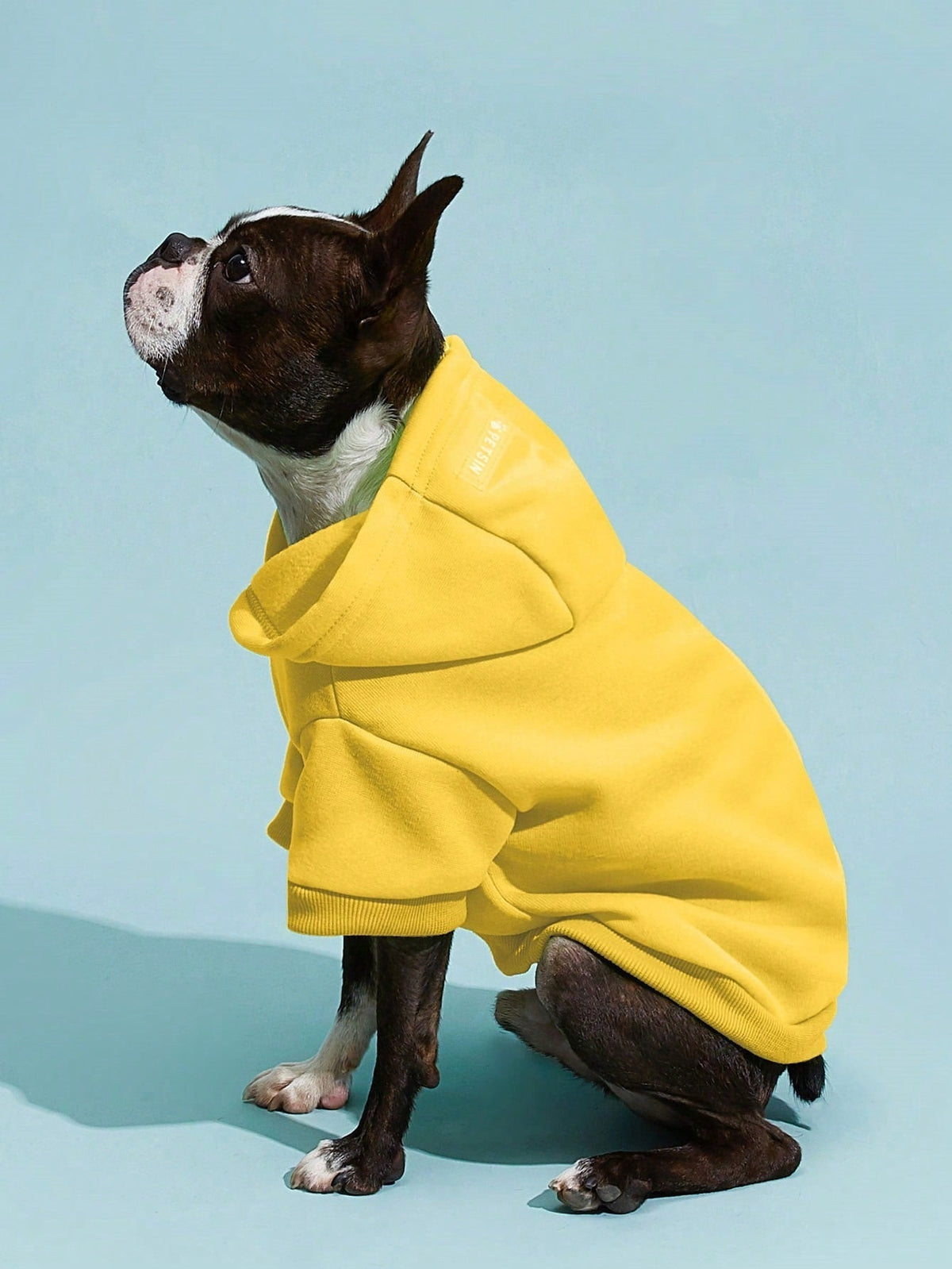 PETSIN Solid Color Pet Hoodie