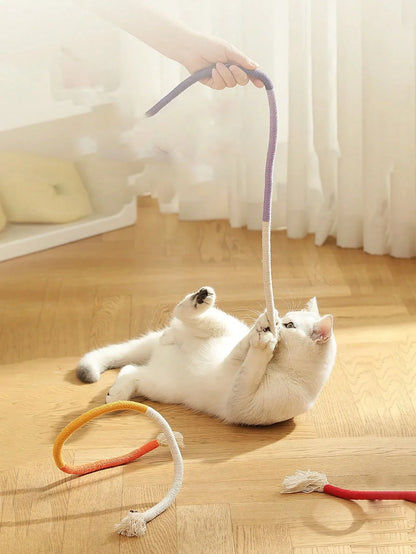 PETSIN Cat Chewing Rope Toys