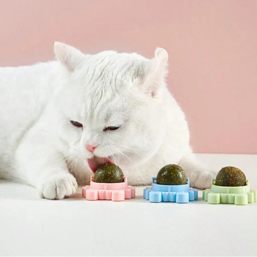 Cat Mom Mint Dental Balls