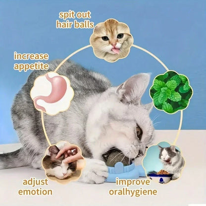 Cat Mom Mint Dental Balls