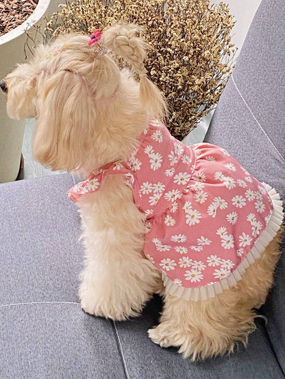 PETSIN Pink Floral Pet Dress