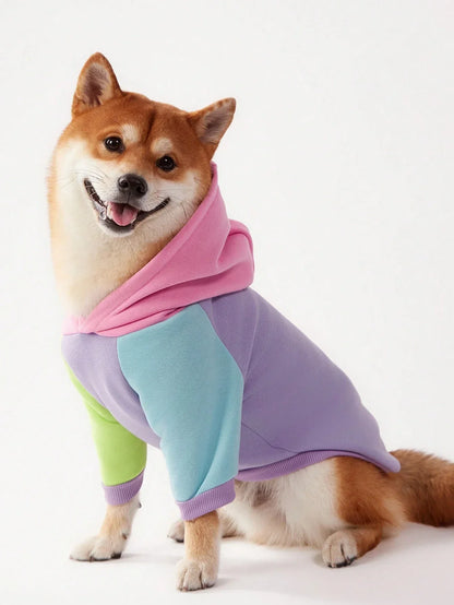 PETSIN Colorblock Dog Hoodie Sweatshirt