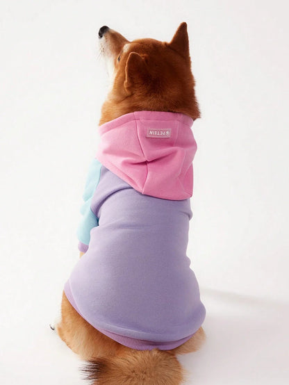 PETSIN Colorblock Dog Hoodie Sweatshirt