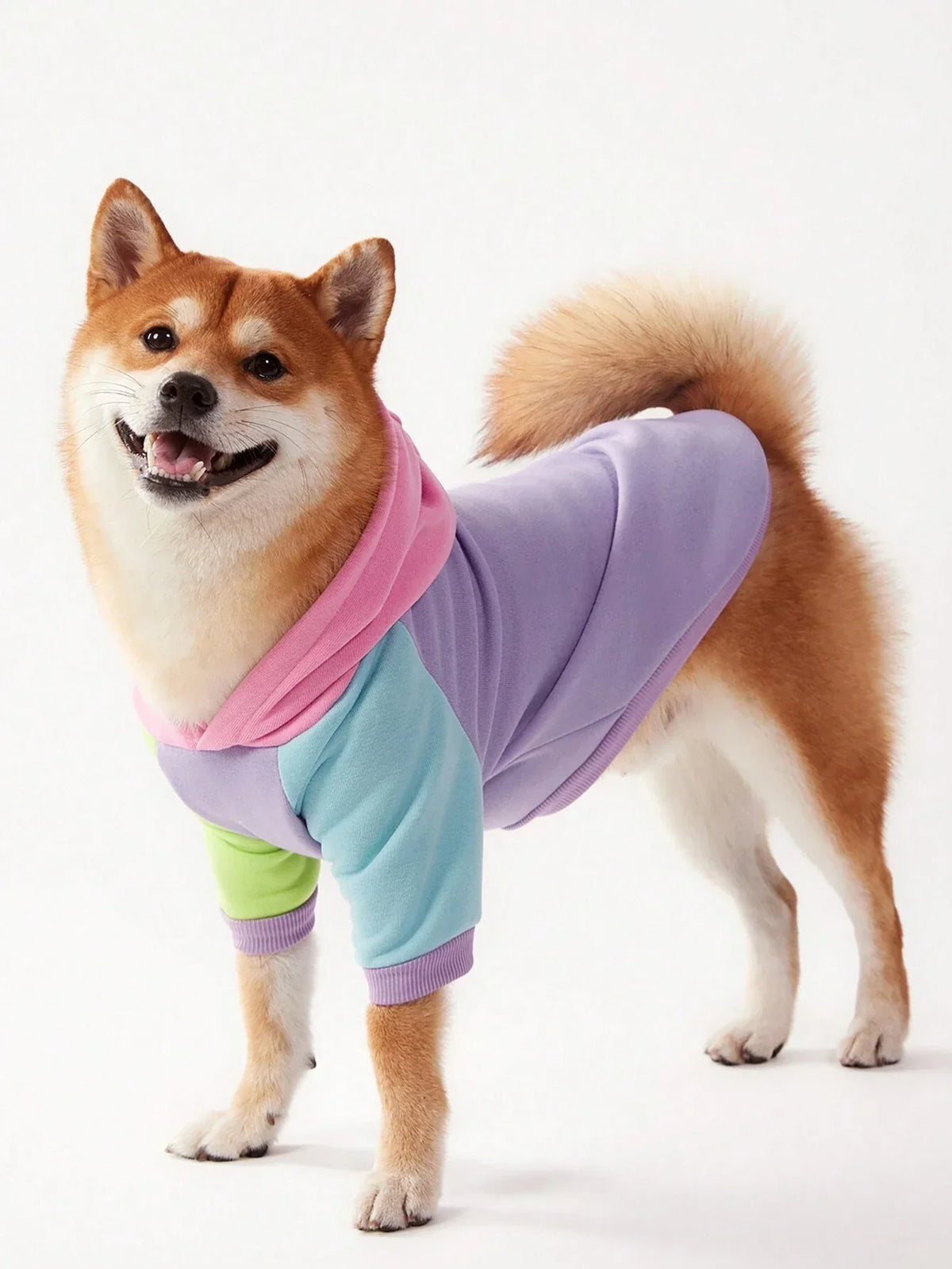 PETSIN Colorblock Dog Hoodie Sweatshirt