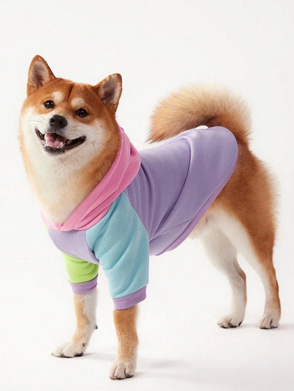 PETSIN Colorblock Dog Hoodie Sweatshirt