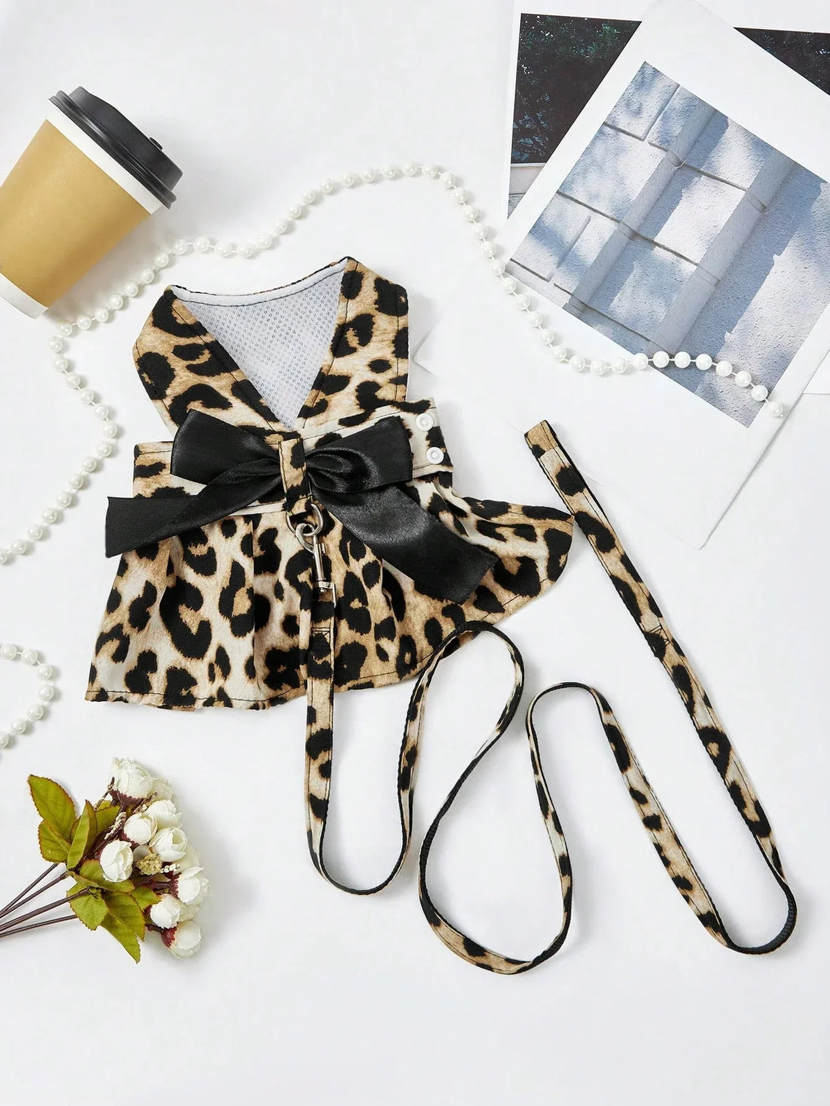 PETSIN Leopard Print Pet Set