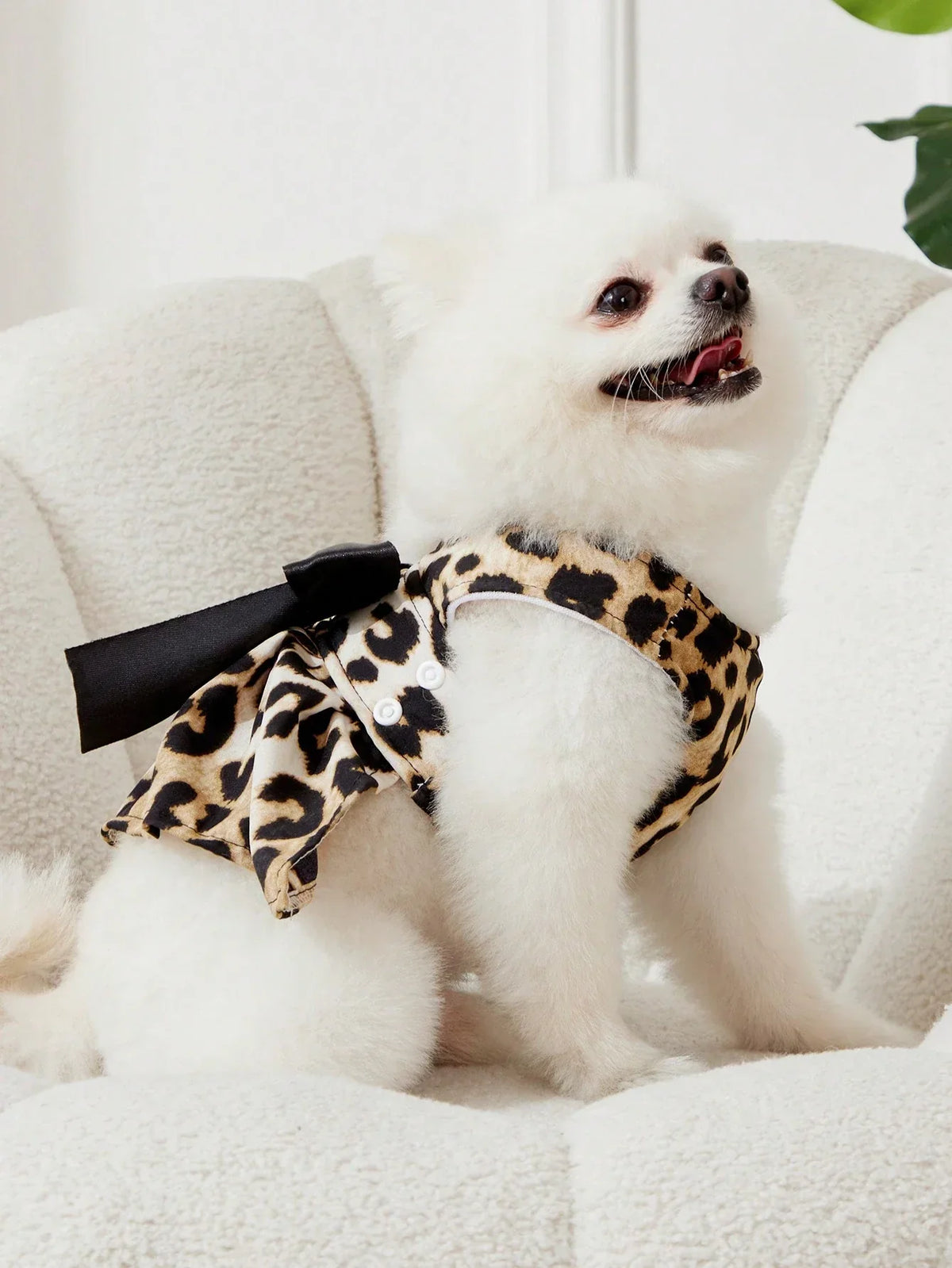 PETSIN Leopard Print Pet Set