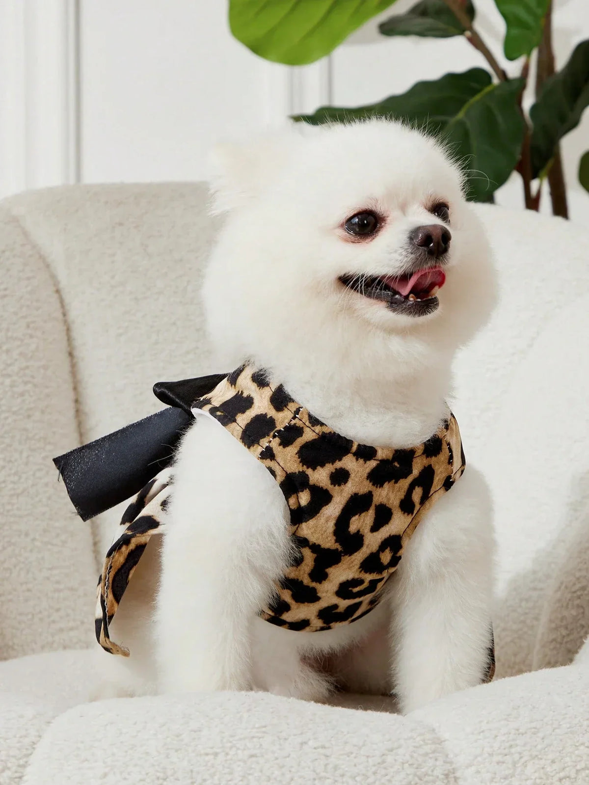 PETSIN Leopard Print Pet Set