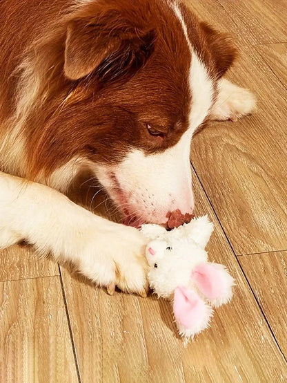 PETSIN Easter Rabbit Dog Toys