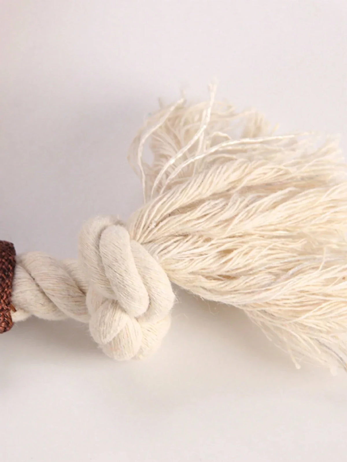 PETSIN Squirrel Fox Dog Toy