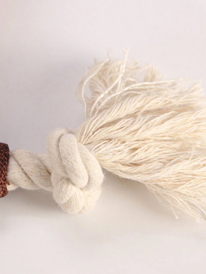 PETSIN Squirrel Fox Dog Toy