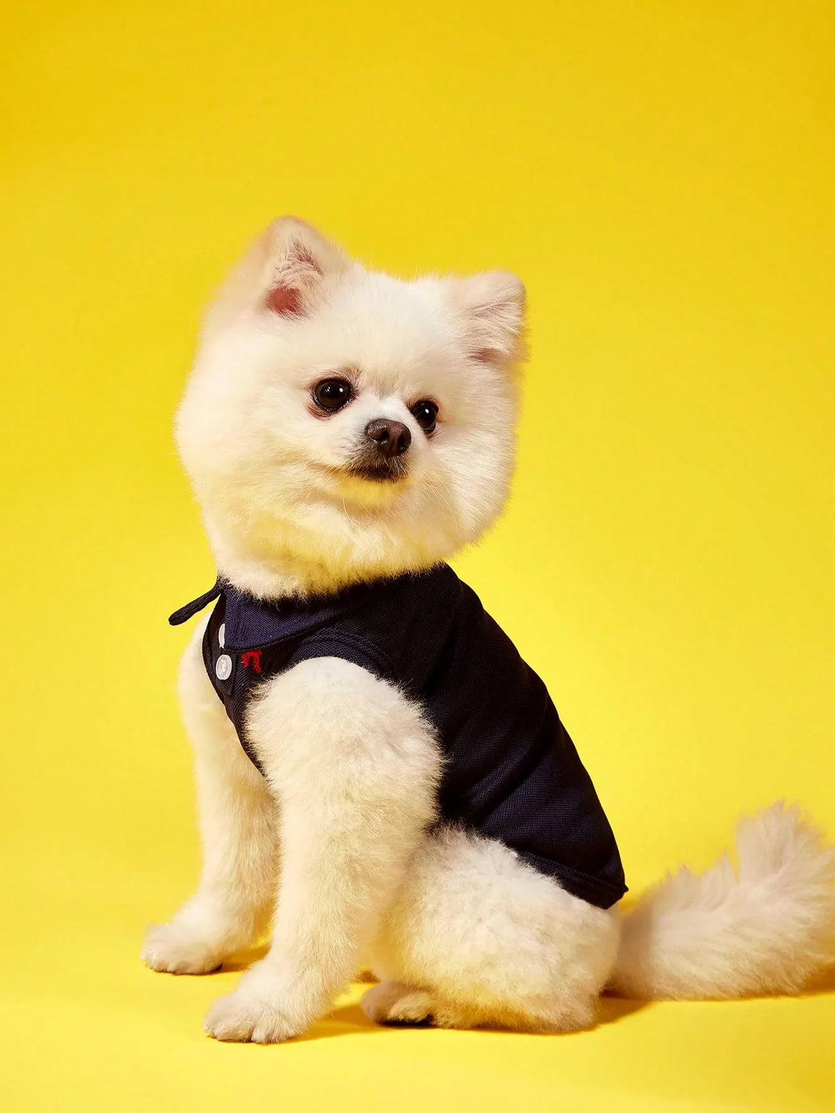 PETSIN Embroidered Polo Pet Shirt