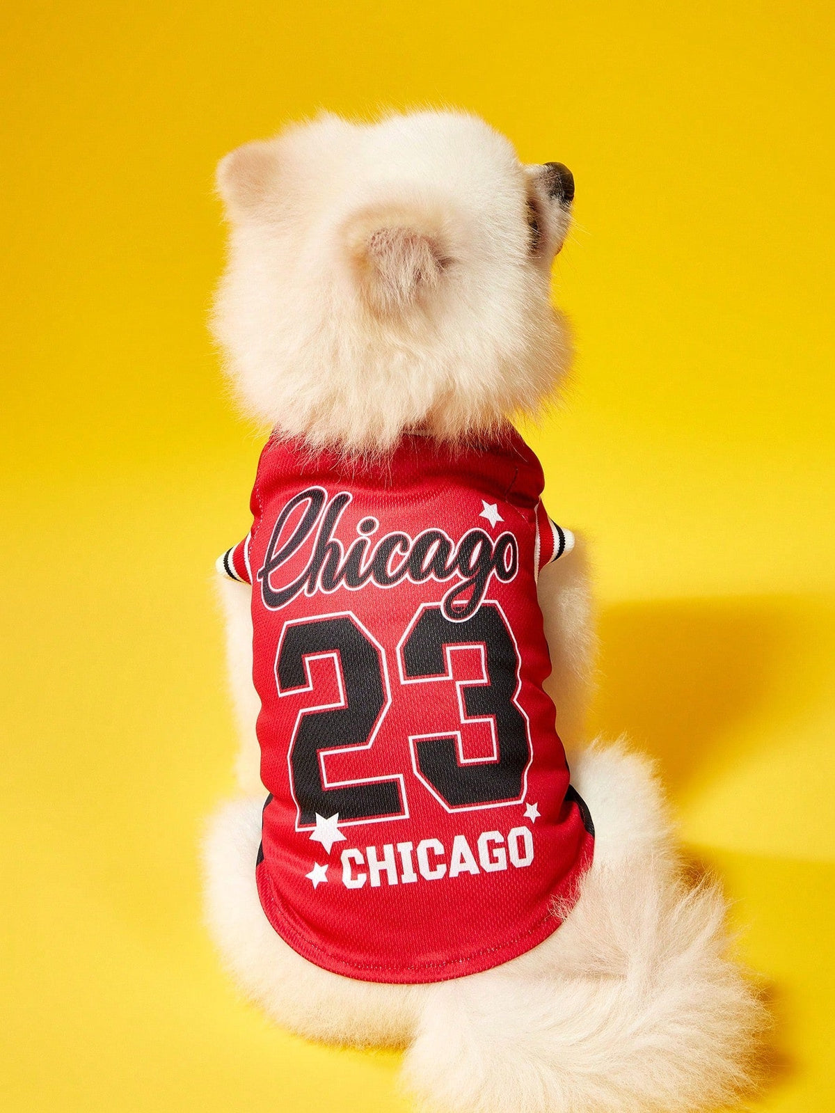 PETSIN Mexican Team Pet Jersey