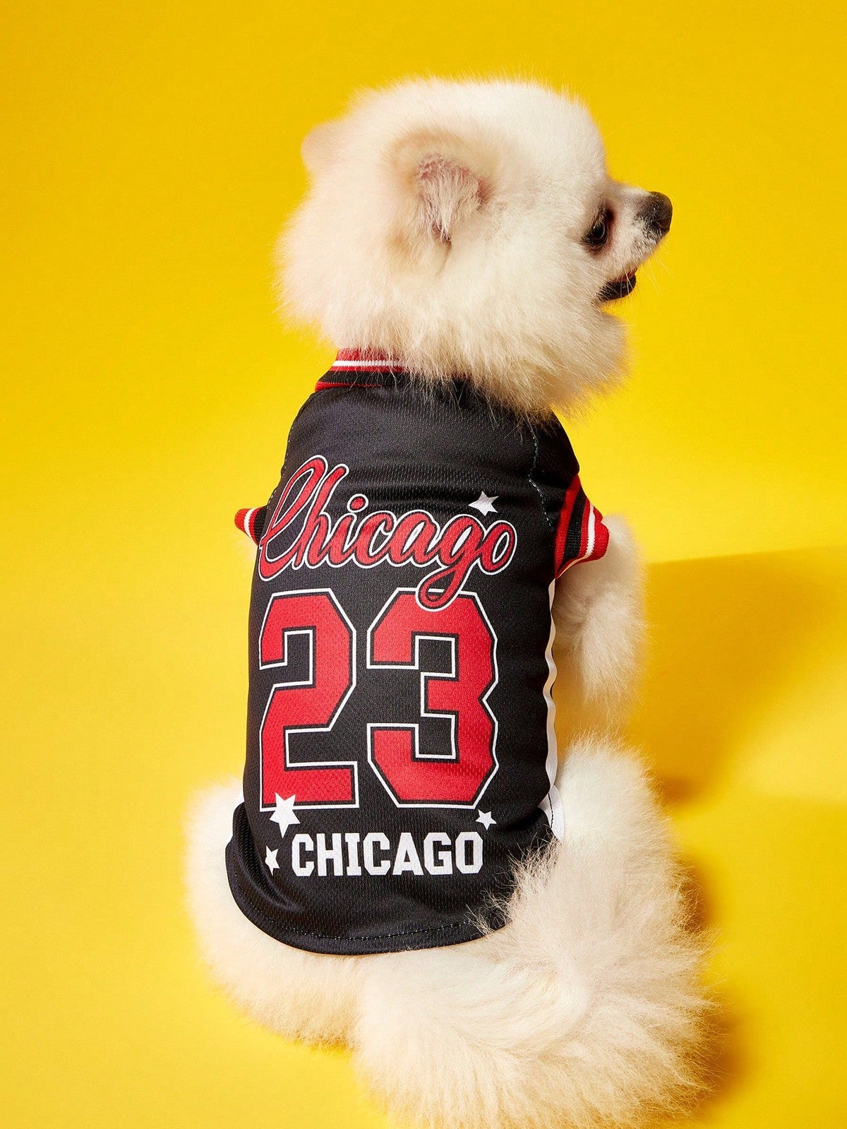 PETSIN Mexican Team Pet Jersey