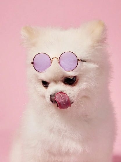 PETSIN Hip-Hop Pet Sunglasses