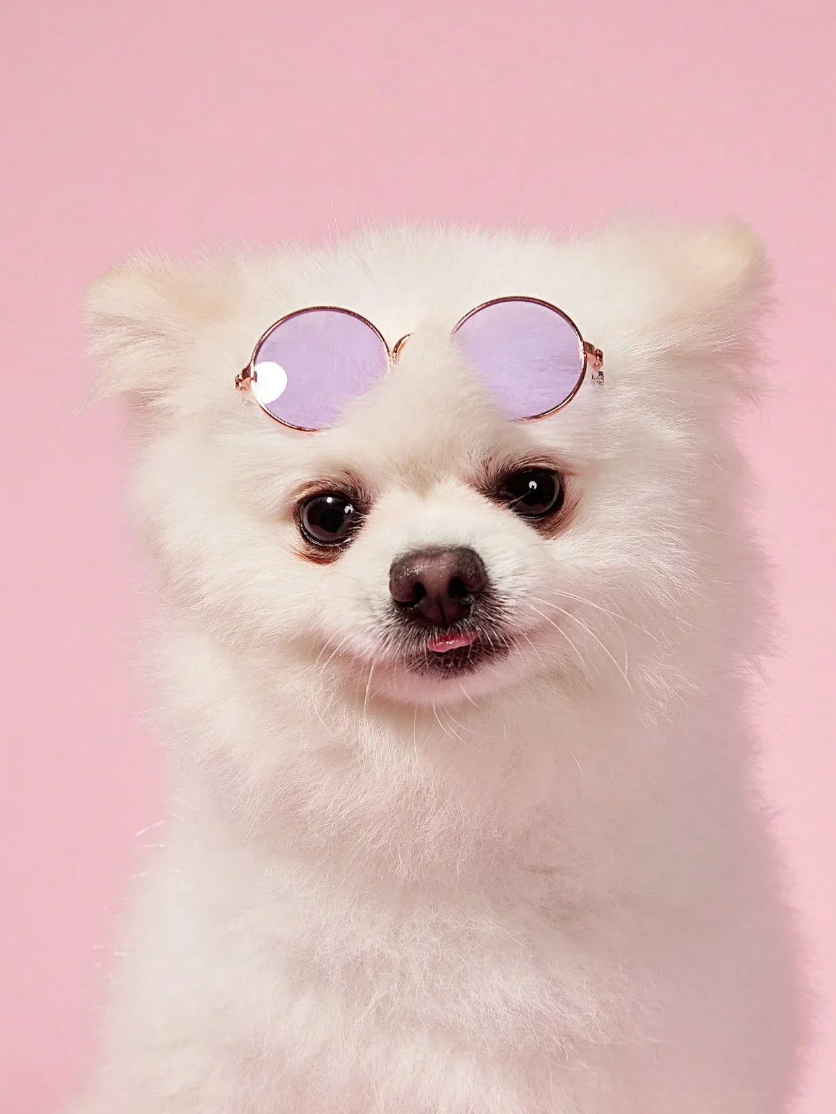 PETSIN Hip-Hop Pet Sunglasses