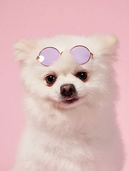 PETSIN Hip-Hop Pet Sunglasses
