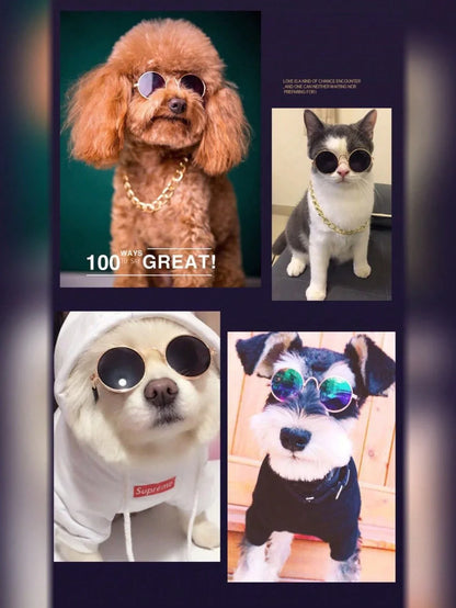 PETSIN Hip-Hop Pet Sunglasses