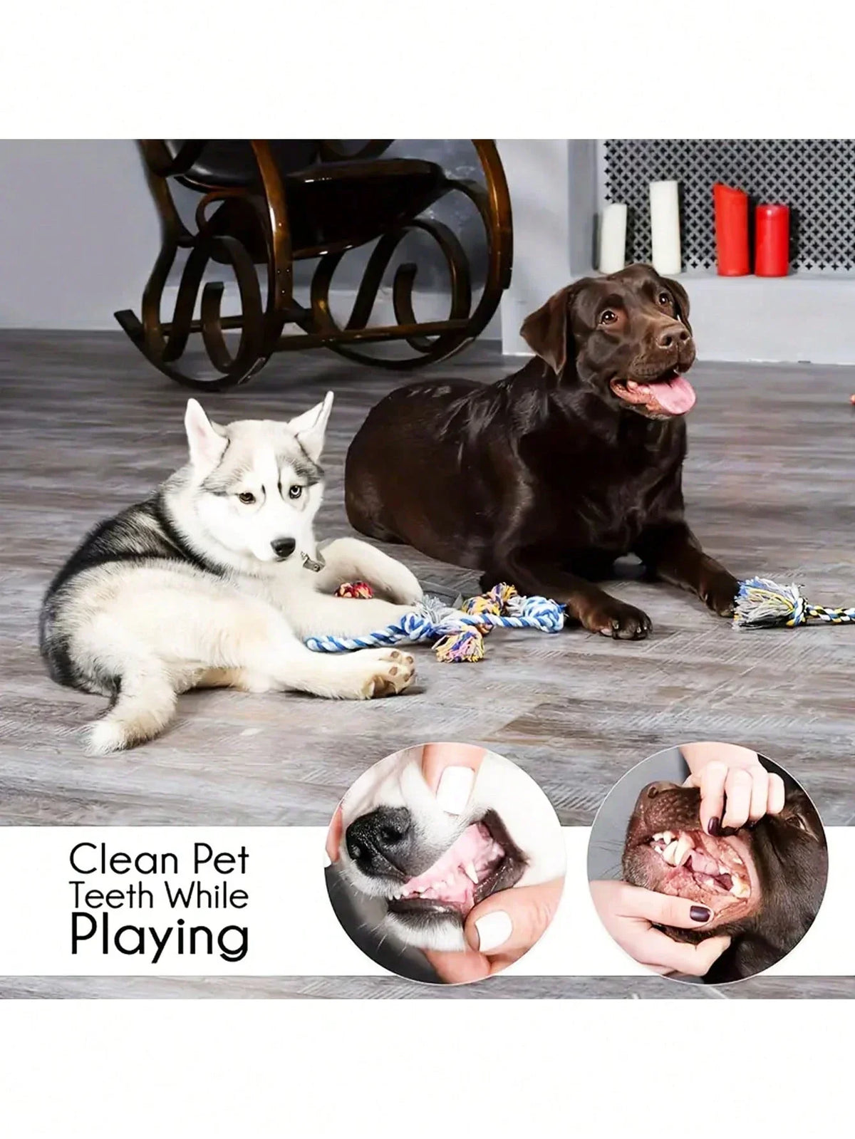 PETSIN Plush Dog Chew Toys