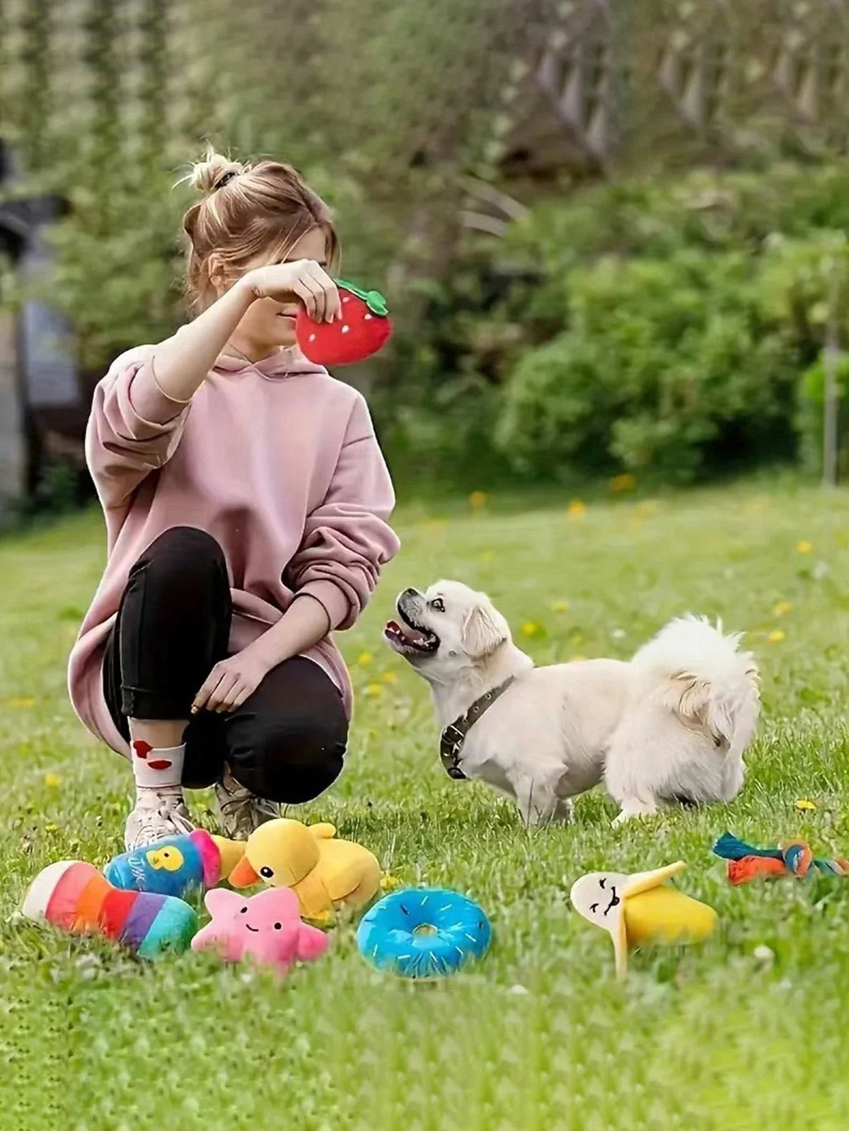 PETSIN Plush Dog Chew Toys